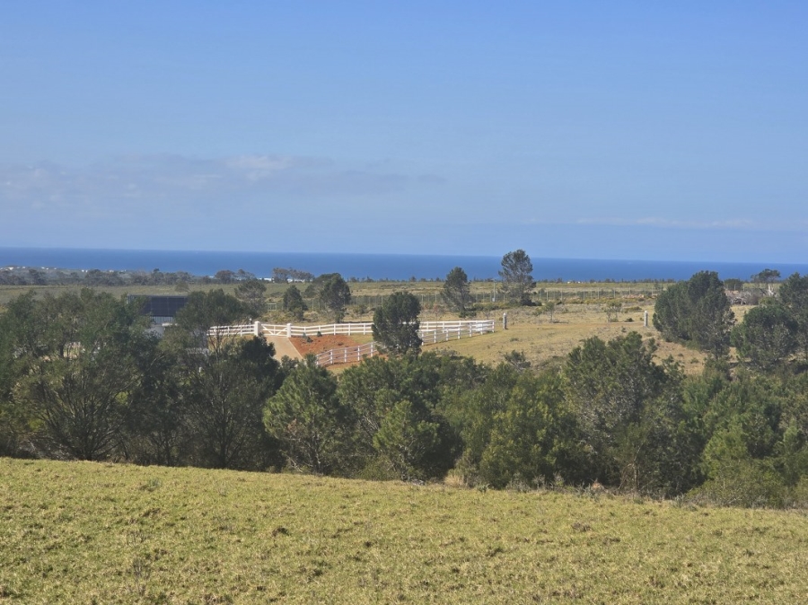 0 Bedroom Property for Sale in Kabeljauws Eastern Cape